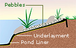Pond Edging Illustration
