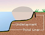Pond Edging Illustration