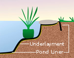 Pond Edging Illustration