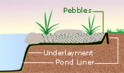 Pond Edging Illustration