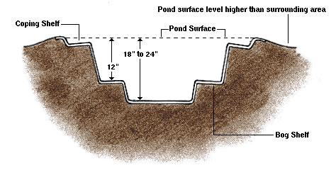 Illustration B