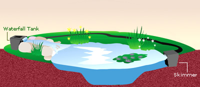 Skimmer & Waterfall Tank
